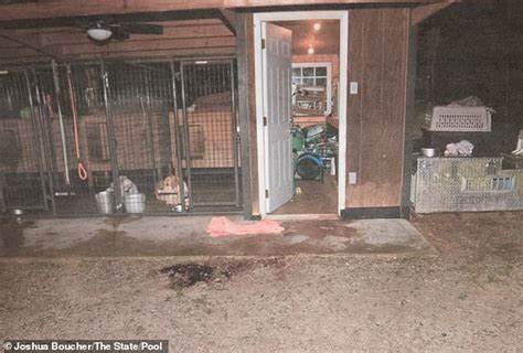 maggie murdaugh crime scene photos|Chilling photos reveal bloody crime scene where Maggie and Paul ...